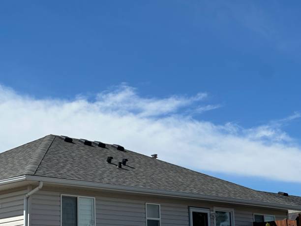 Best Gutter Installation and Repair  in Cutler, CA